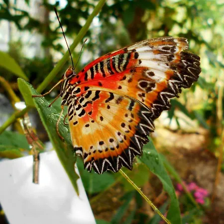 Relaxen Im Urigen Fachwerkhaus Σπίτι διακοπών